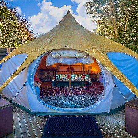 Te Tiro Accommodation Waitomo Caves Exterior photo