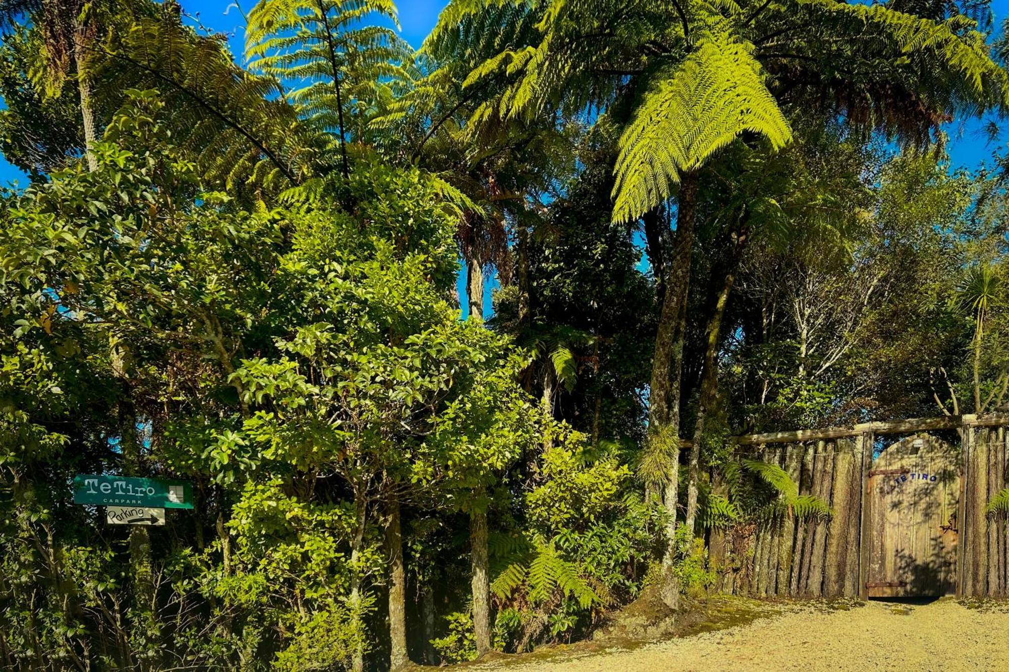 Te Tiro Accommodation Waitomo Caves Exterior photo