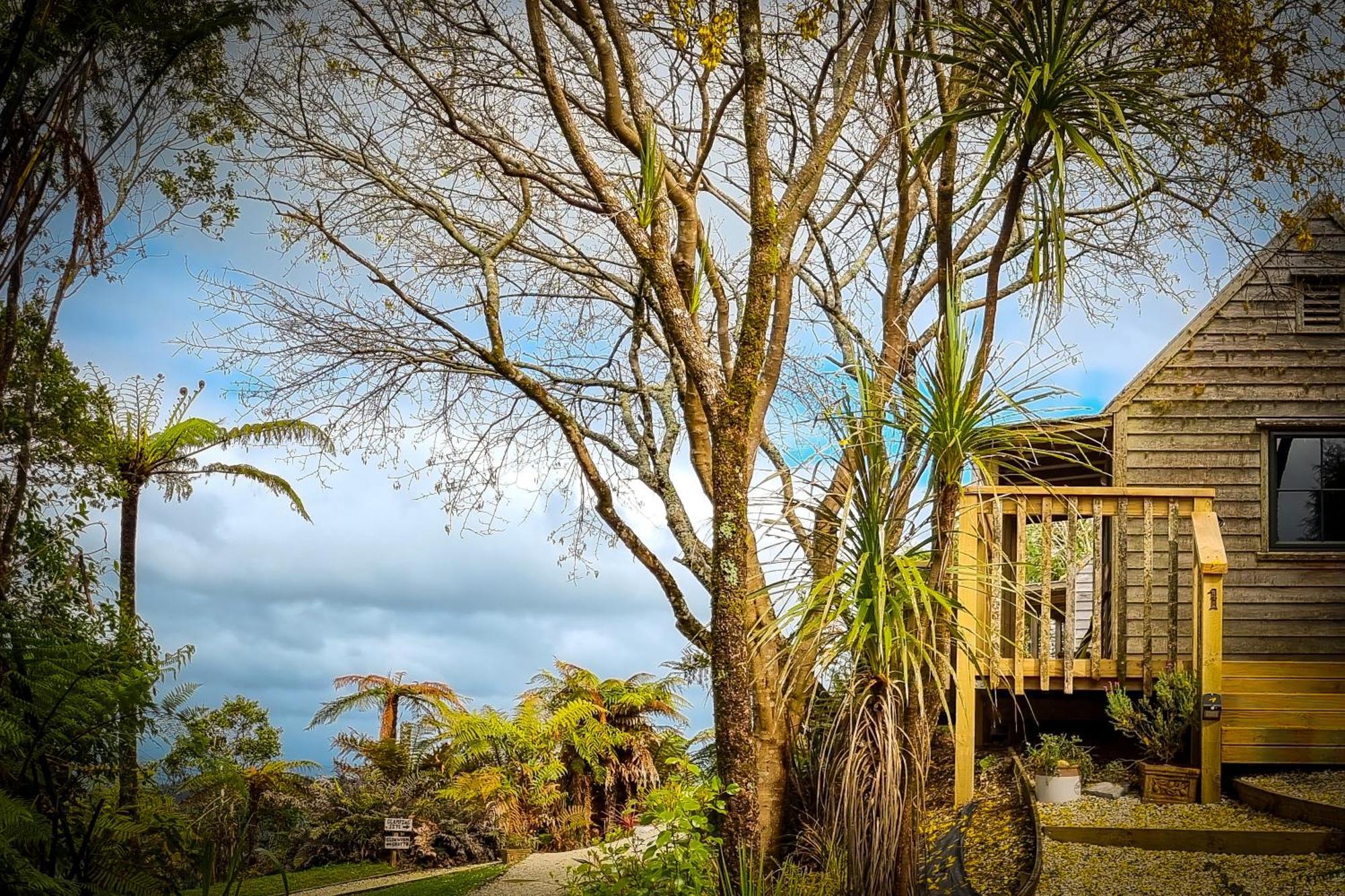 Te Tiro Accommodation Waitomo Caves Exterior photo