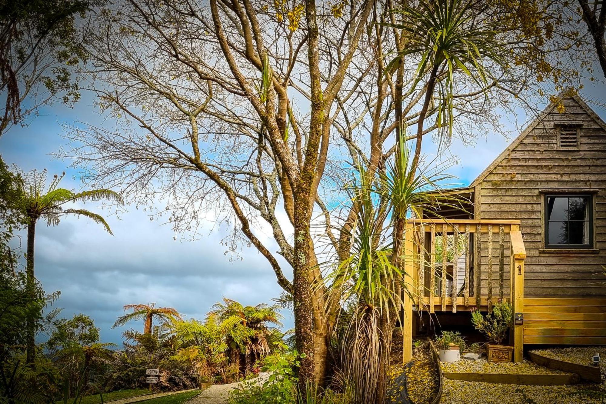 Te Tiro Accommodation Waitomo Caves Exterior photo