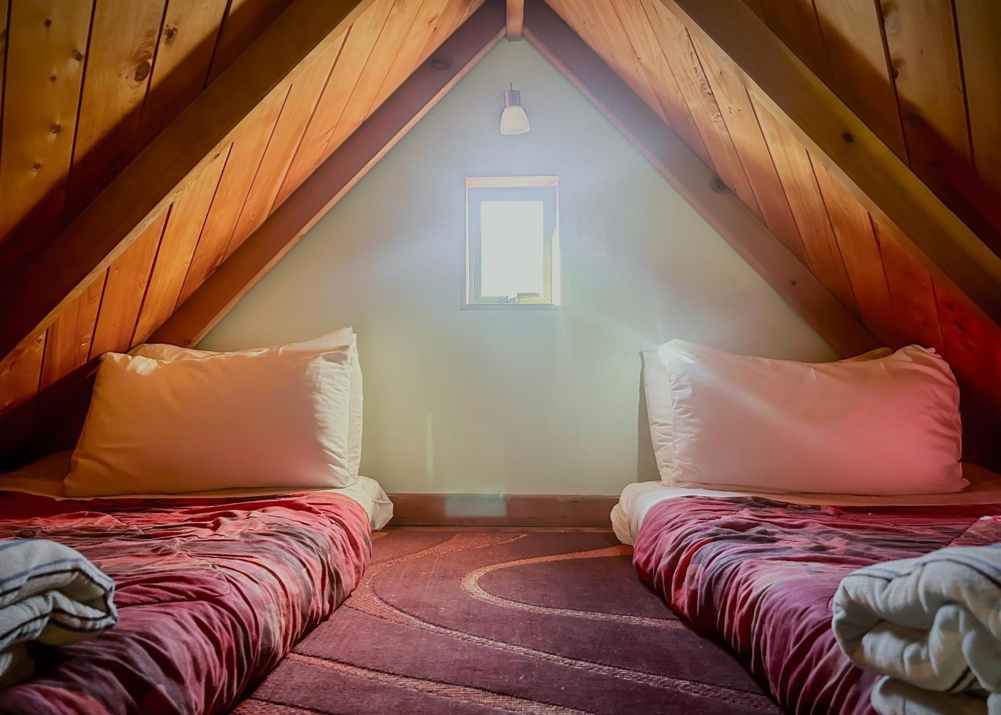 Te Tiro Accommodation Waitomo Caves Room photo