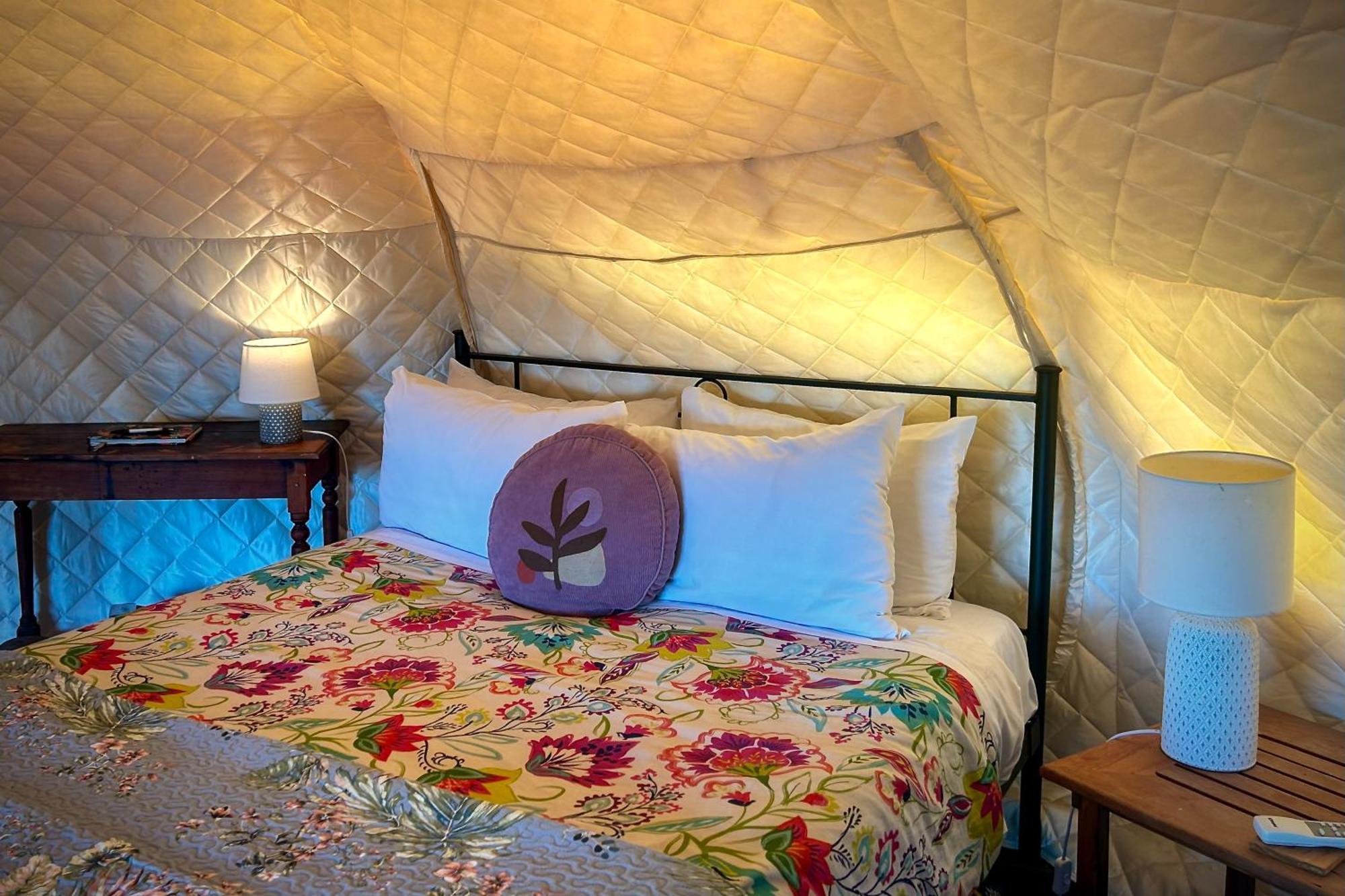 Te Tiro Accommodation Waitomo Caves Room photo