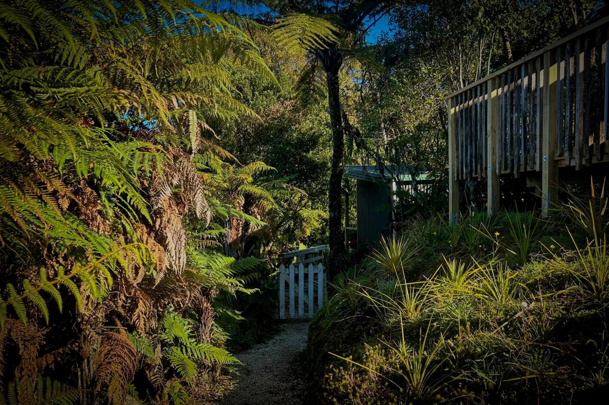 Te Tiro Accommodation Waitomo Caves Room photo